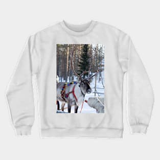 Santa Claus Reindeer Crewneck Sweatshirt